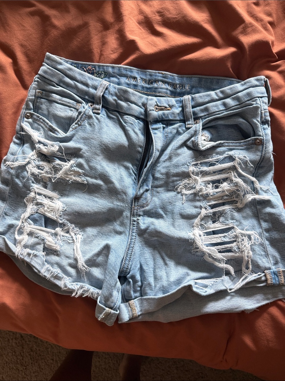 American Eagle Outfitters Light Blue Ripped Denim Shorts